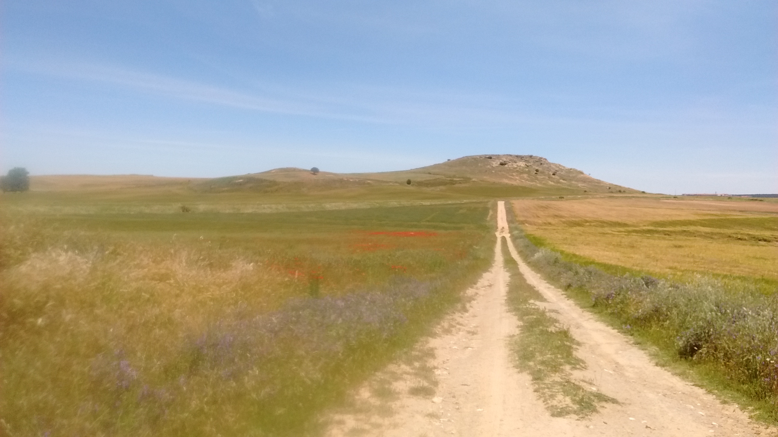 Salamanca battlefield